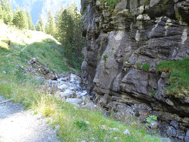 Alpbach creek