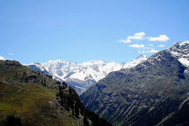 Piz Palü (3901m), Bellavista (3922m), Crast' Agüzza (3854m), Piz Bernina (4049m)
