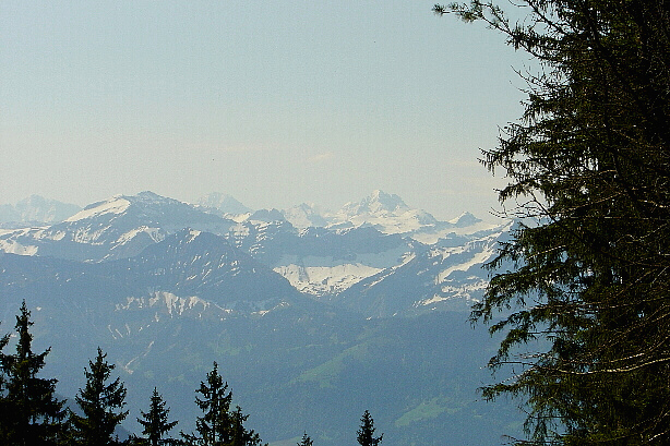 Schwalmere (2777m), Lauterbrunnen Breithorn (3780m) und Gspaltenhorn (3436m)