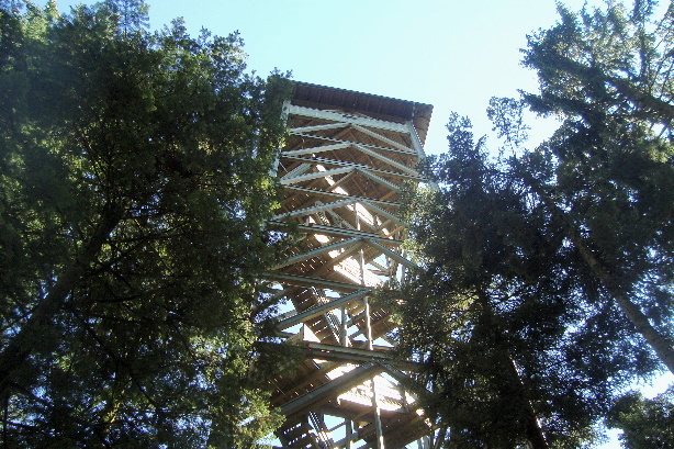 Chuderhüsi tower