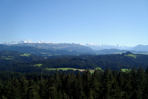 Bernese  Alps