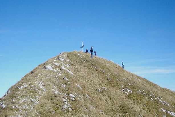 The summit of Dent de Lys (2014m)