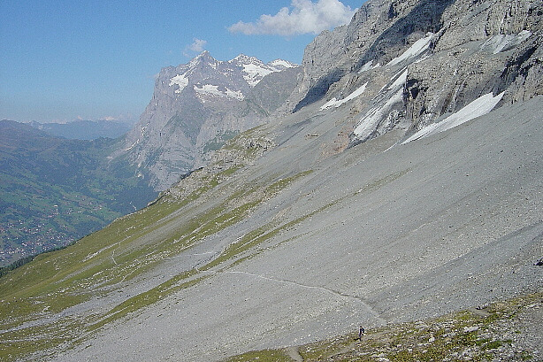 Eiger Trail and Wetterhorn (3692m)