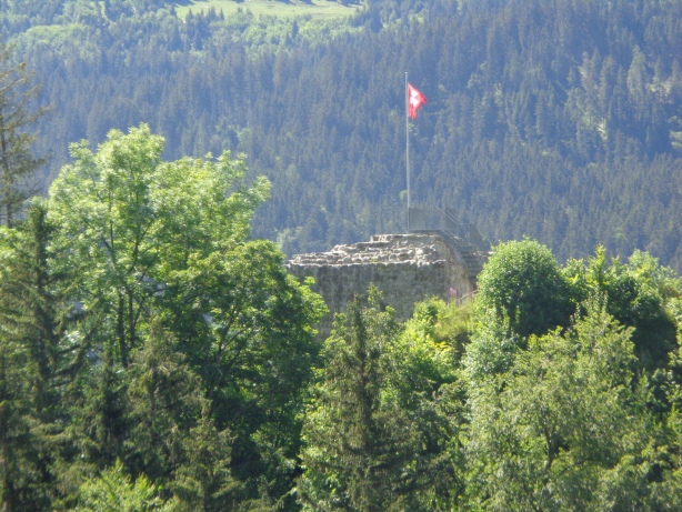 Ruins of Wildenburg