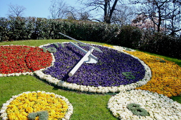 The flower clock