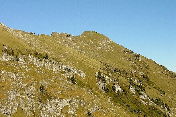 View to the ridge