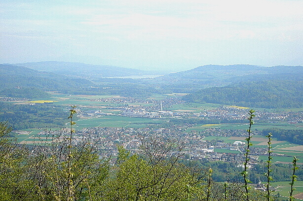 Rupperswil, Hallwilersee