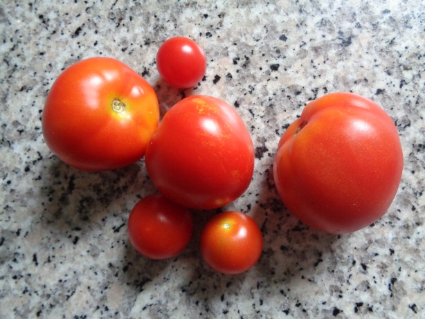 Some tomatos