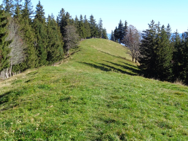 On the Schwendelberg (1294m)