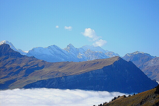 Tschingelspitz (3304m), Gspaltenhorn (3436m), Blümlisalp (3660m), Männlichen (2343m)