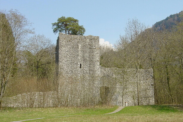 Ruins Castle of Weissenau - nearby Interlaken