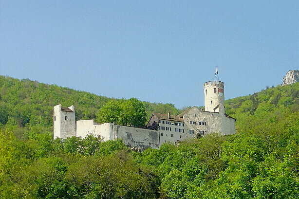 Castle Neu Bechburg - Oensingen
