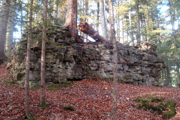 Ruine Riedburg - Mittelhäusern