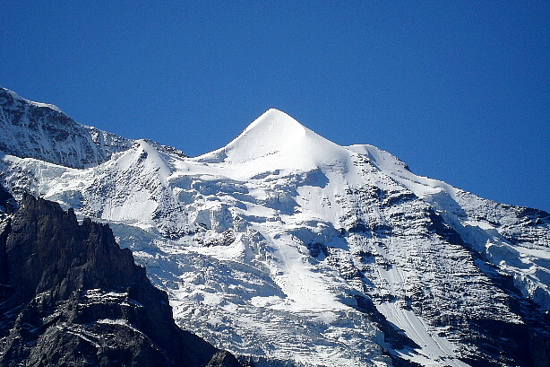 Silberhorn (3695m)
