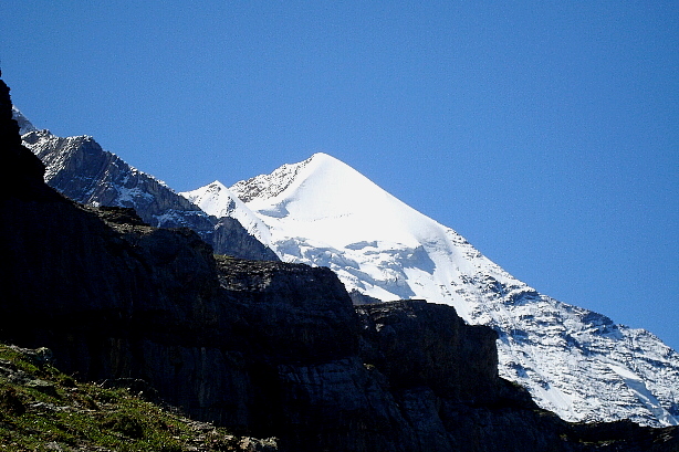 Silberhorn (3695m)