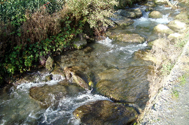 Salentse creek