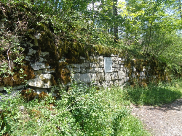 Ruins of Lägern