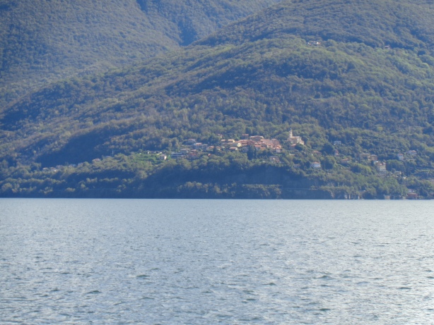 Pino sulla Sponda del Lago Maggiore