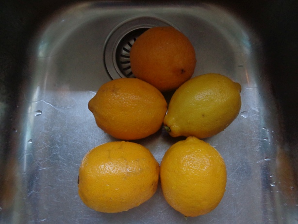 Die Zitronen gründlich waschen
