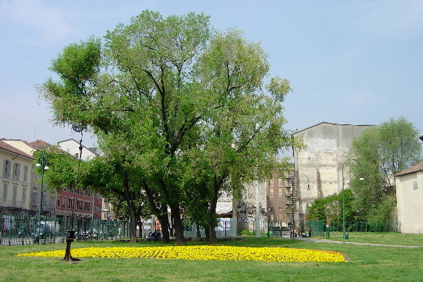 Parco delle Basiliche