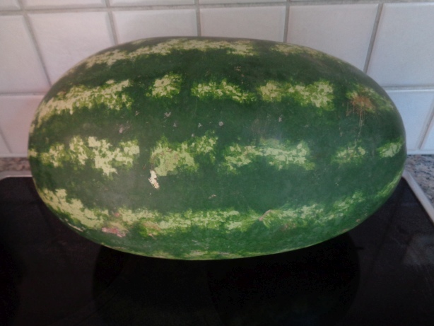 500 grams of melons