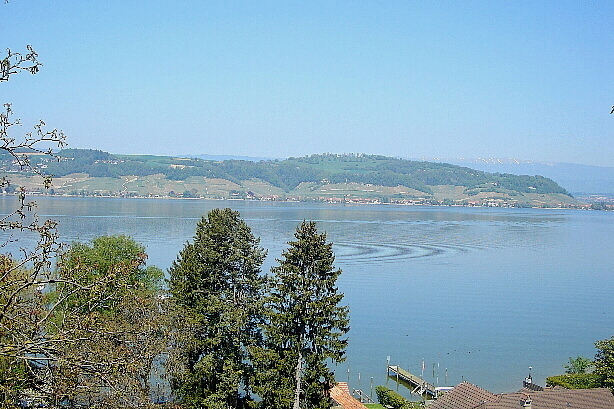 Lake Murten
