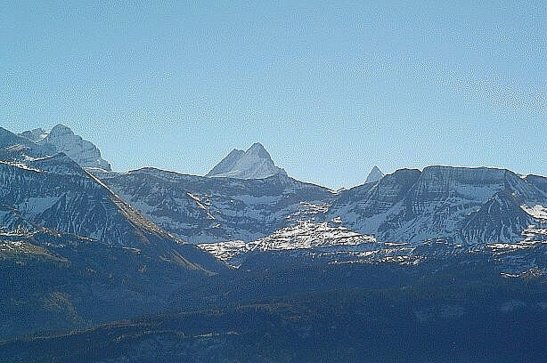 Wetterhorn (3692m), Schreckhorn (4078m) und Finsteraarhorn (4272m)