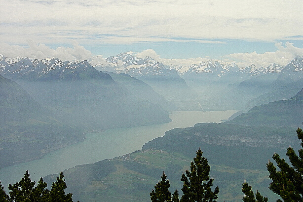 Alps of Uri and Lake Uri