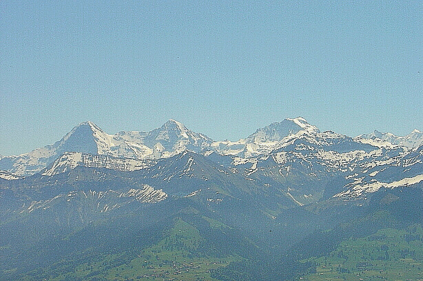 Eiger (3970m),  Mönch (4107m) und Jungfrau (4158m) - Morgenberghorn (2248m)