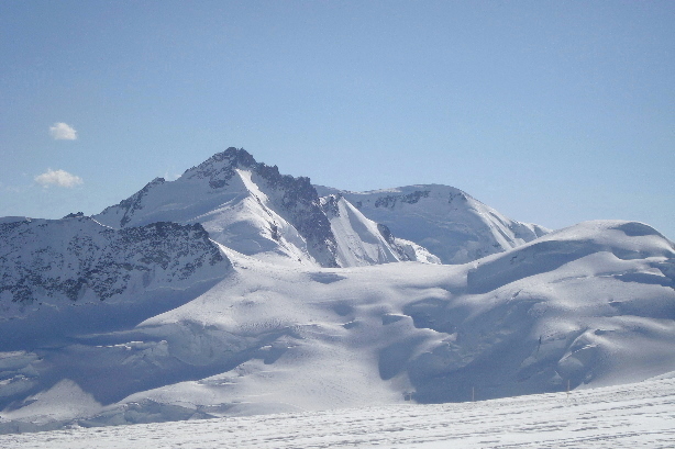 Gletscherhorn (3983m), Louwihorn (3773m)