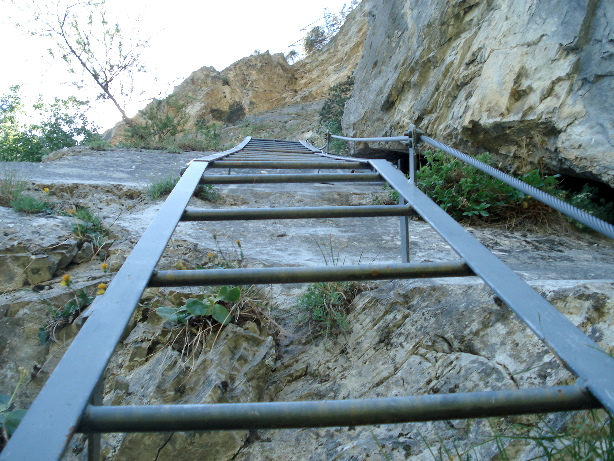 The second ladder