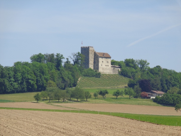 Castle of Habsburg
